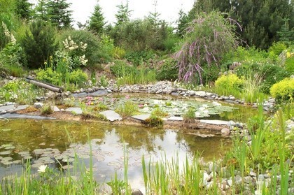 Kloster Brandenburg / Iller e.V.