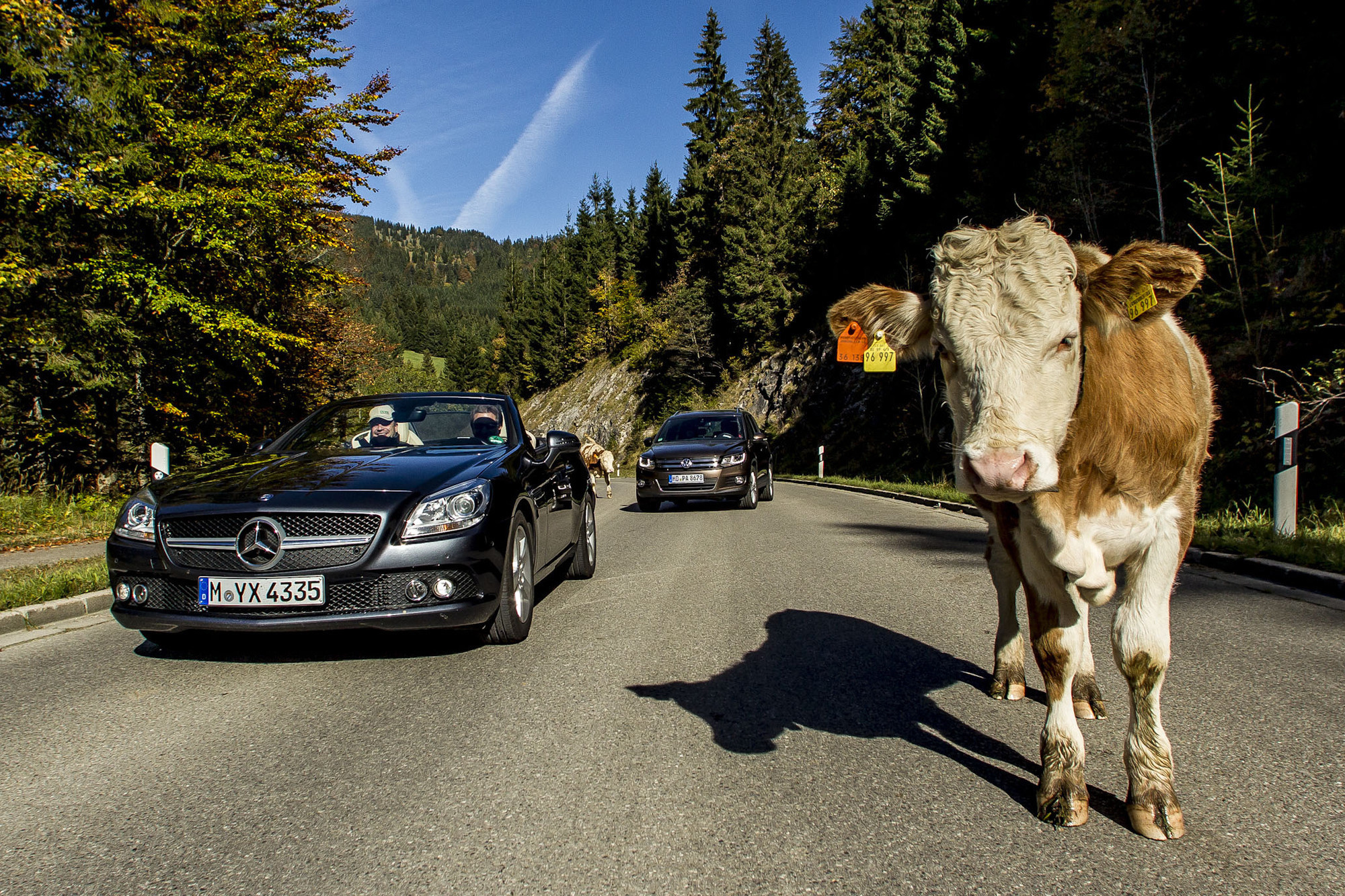 Foto: Allgäu Events GmbH & Co. KG